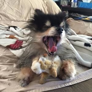 Meet your Posher, Ruby